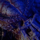 Illustration for article titled Defending the Indefensible: Predator 2